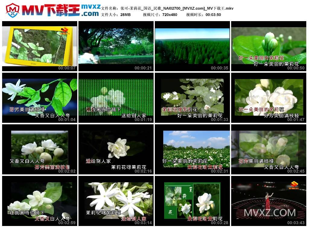 张可-茉莉花_国语_民歌_NAI02700